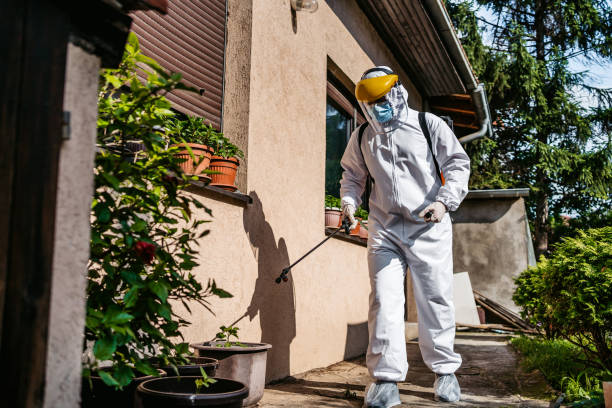Pest Prevention Services in Alma, GA