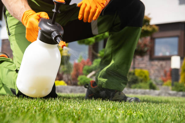 Best Wildlife Control Services  in Alma, GA
