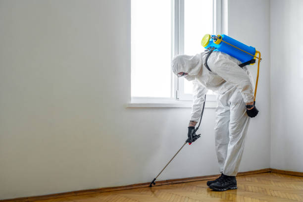 Best Termite Control Services  in Alma, GA