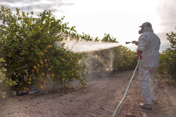 Best Cockroach Control Services  in Alma, GA
