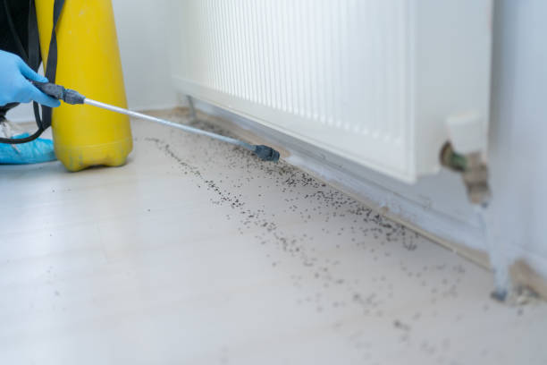 Best Mosquito Control Services  in Alma, GA